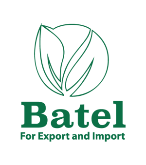 batel-logo