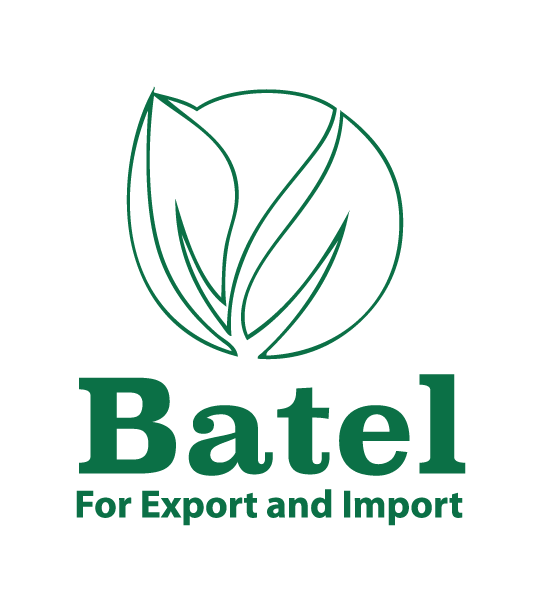 batel-logo